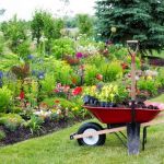 Créer Un Jardin Paysager Créer Un Jardin Paysager 43 Idées Et Photos Inspirantes