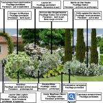 Créer Un Jardin Paysager Créer Un Massif D’arbustes Vert Et Blanc