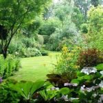 Créer Un Jardin Paysager Créer Un Plan D état Des Lieux De son Jardin Simplement