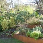 Créer Un Jardin Paysager Crer Un Jardin Paysager Magnifique Mon Amnagement Jardin