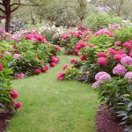 Créer Un Jardin Paysager Définir son Style De Jardin