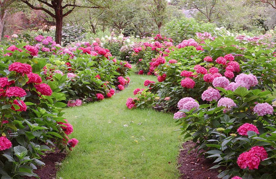Créer Un Jardin Paysager Définir son Style De Jardin