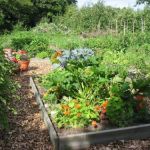 Créer Un Jardin Paysager Jardin Munautaire Infosvp