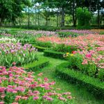 Créer Un Jardin Paysager Ment Créer Un Jardin Paysager à L’anglaise