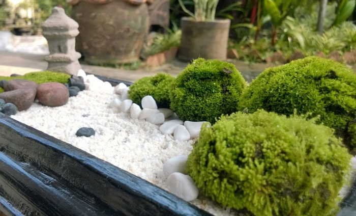 Creer Un Petit Jardin 1001 Conseils Pratiques Pour Une Déco De Jardin Zen