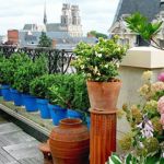 Créer Une Terrasse Novembre Que Faire Sur La Terrasse Jardiniers Pro