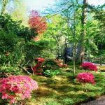 DÃ©coration Jardin Japonais Ment Aménager Un Jardin Japonais Cdiscount