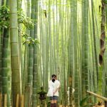 Deco Jardin Design Bambou Déco 40 Idées Pour Un Décor Jardin Avec Du Bambou