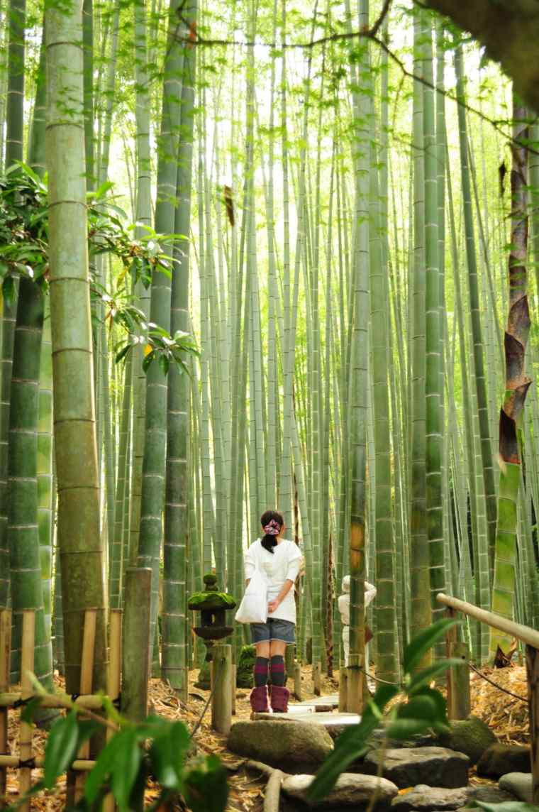 Deco Jardin Design Bambou Déco 40 Idées Pour Un Décor Jardin Avec Du Bambou