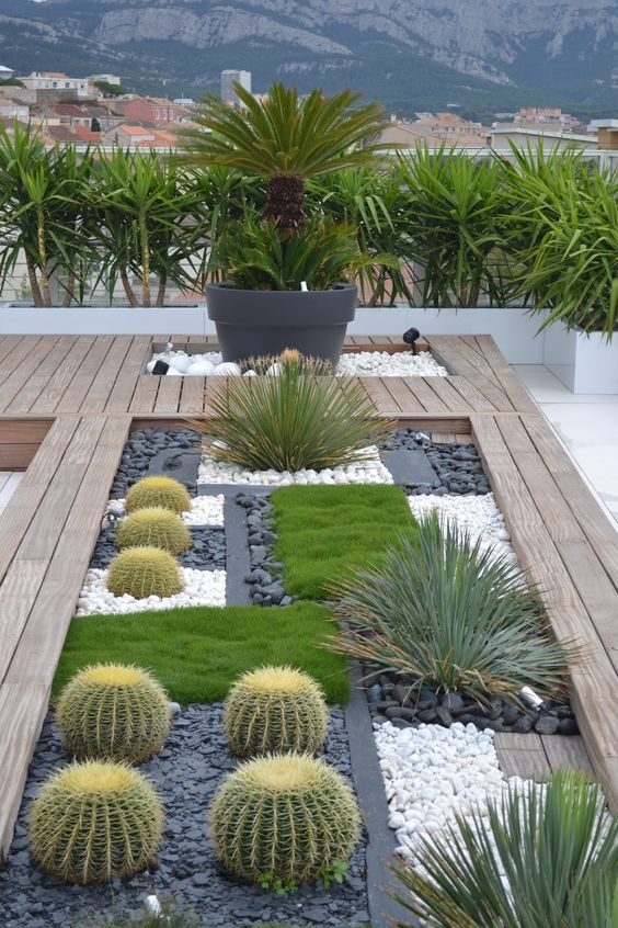 Deco Jardin Design Ideas Para Diseñar Jardines Deserticos 28 Curso De