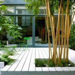 Deco Jardin Zen Jardin Japonais Quelles Plantes Et Arbres Pour Un Jardin