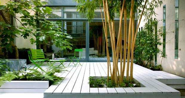 Deco Terrasse Zen Jardin Japonais Quelles Plantes Et Arbres Pour Un Jardin
