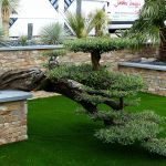 Entreprise Aménagement Paysager Jardins Design’s Paysagiste En Charente Maritime