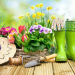 Entreprise De Jardinage 1h30 De Conseils à Domicile Cours De Jardinage à