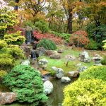 Faire Un Jardin Japonais Cheminons En sous Bois Créer Un Jardin Japonais