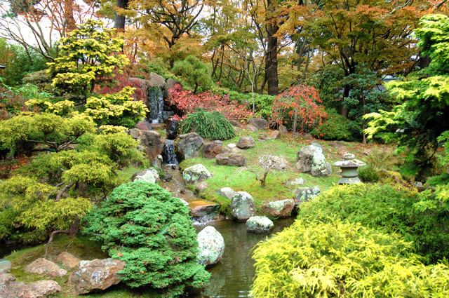 Faire Un Jardin Japonais Cheminons En sous Bois Créer Un Jardin Japonais