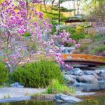 Faire Un Jardin Japonais Jardin Et Paysagisme