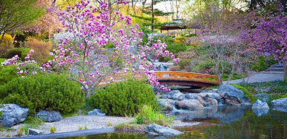 Faire Un Jardin Japonais Jardin Et Paysagisme