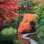 Faire Un Jardin Japonais Ment Faire Un Jardin Japonais