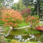 Faire Un Jardin Zen Quelques astuces Pour Créer Un Coin Zen Dans son Jardin