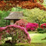IdÃ©e Jardin Japonais Ment Créer son Propre Jardin Japonais En 23 Photos