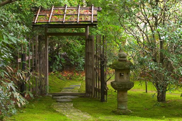 IdÃ©e Jardin Zen Une atmosphère Naturelle Dans L Arrière Cour Avec Le