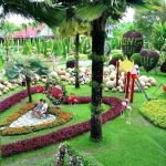 Idee Deco Jardin Jardin Avec Palmier Massif Palmier Palmier Latest X