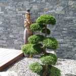 Jardin Japonais Alsace Jardin Japonais Plantes – Trouver Des Idées Pour Voyager