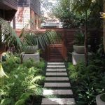 Jardin Japonais Plantes Couvre sol Jardin Japonais Zen Idées Et Conseils D Aménagement Pour