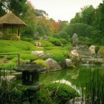 Jardin Japonais Plantes Couvre sol Terrasse Et Jardin En 105 Photos Fascinantes Pour Vous
