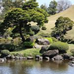 Jardin Sec Japonais Jardin Japonais Découverte Caractéristiques Et Végétaux