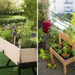 Jardin Sur Terrasse Potager Urbain Cultivez Sur Votre Balcon Ou Votre