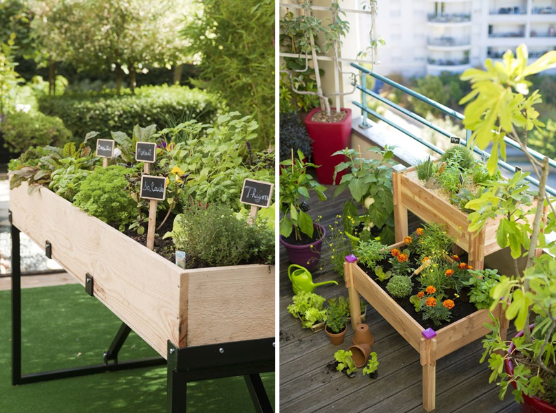 Jardin Sur Terrasse Potager Urbain Cultivez Sur Votre Balcon Ou Votre