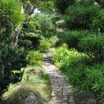 Jardin Zen Drome Un Jardin Zen Dans La Drôme Jardiner Avec Jean Paul