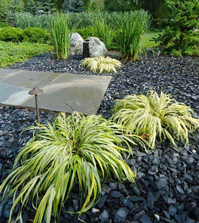 Jardin Zen Exterieur Jardin Zen – Plantes Et Positions Harmonieuses En Photos