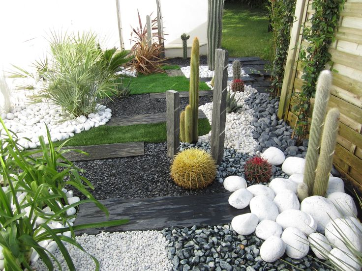 Jardin Zen Sec Jardin Sec Cactus Galets Polis Blancs Gazon Synthétique