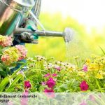 Jardinier Pas Cher Jardinier Passionné à Belhomert Guehouville Tél 02 52 56