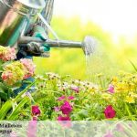 Jardinier Pas Cher Jardinier Passionné à Maillebois Tél 02 52 56 18 86