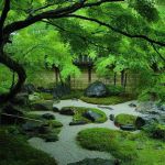 Modele De Jardin Japonais Jardin Japonais Fait De Sable Mousse Et Rochers Salon De