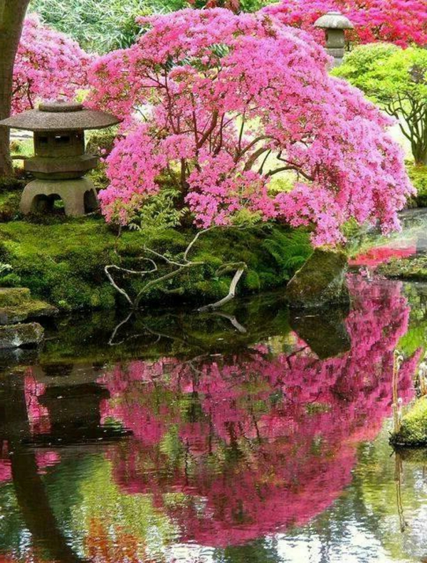 Modele De Jardin Japonais Modèles Du Jardin Japonais Rien N Est Plus Exotique