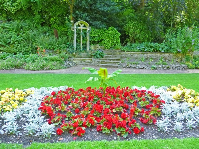 Petit Jardin Fleuri Déco Fleurs Jaunes Et Rouges Sur Un Terrain De Terreau