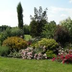 Petit Jardin Fleuri Plantes Vivaces Fleuries toute Lanne Idees