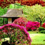 Petit Jardin Fleuri Réaliser Un Jardin Fleuri En 9 étapes – astucesjardin