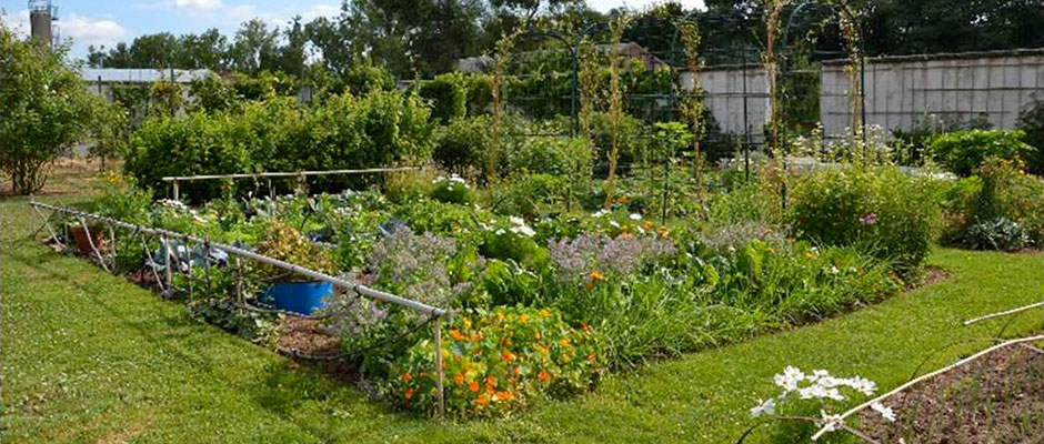 Petit Jardin Potager Amenagement Petit Jardin Avec Piscine 6 Design