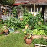 Petit Jardin Potager La Chronique D Audrey Dessiner Le Plan De Mon Futur