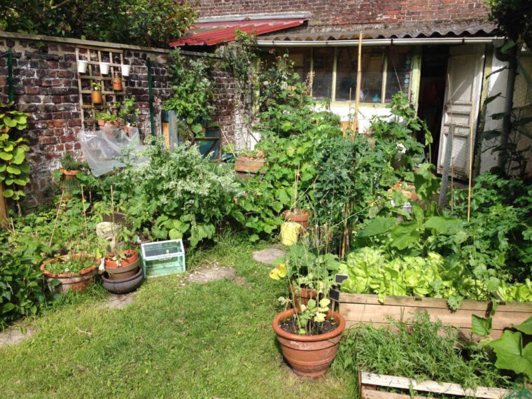 Petit Jardin Potager La Chronique D Audrey Dessiner Le Plan De Mon Futur