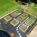 Plan Aménagement Jardin Aménagement Jardin Potager Recherche Google
