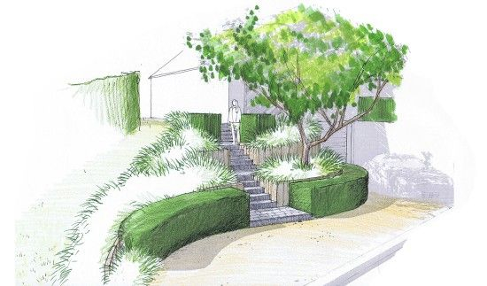 Plan Aménagement Jardin Jardin Esquisses Jardin