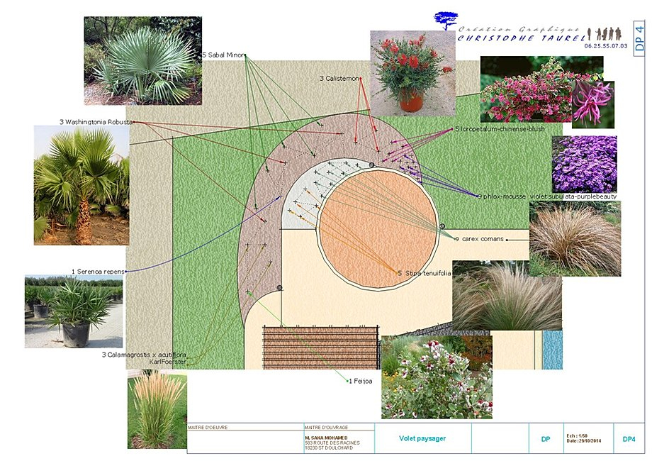 Plan De Jardin 3d Plan De Jardins 3d Piscine Et Jardin Paysagiste