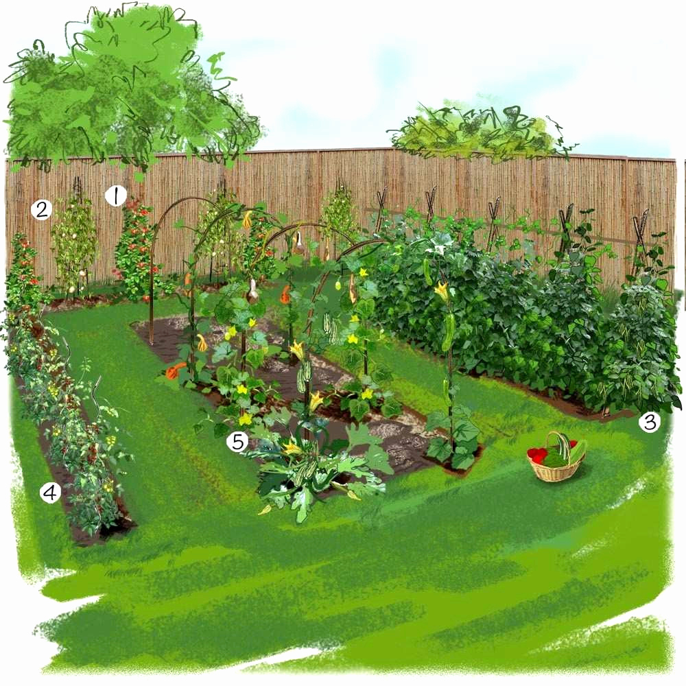 Plan De Jardin Gratuit Logiciel Jardin D Gratuit En Ligne C L Bre